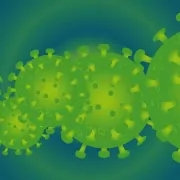 Illustration des Corona-Virus von iXimus auf pixabay.com